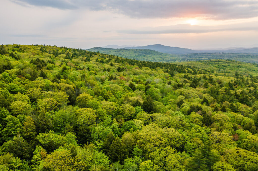 Drone view of mixed hardwood forest on Dearborn Mountain in Parsonsfield, Maine. Great Oaks Wilderness Preserve.